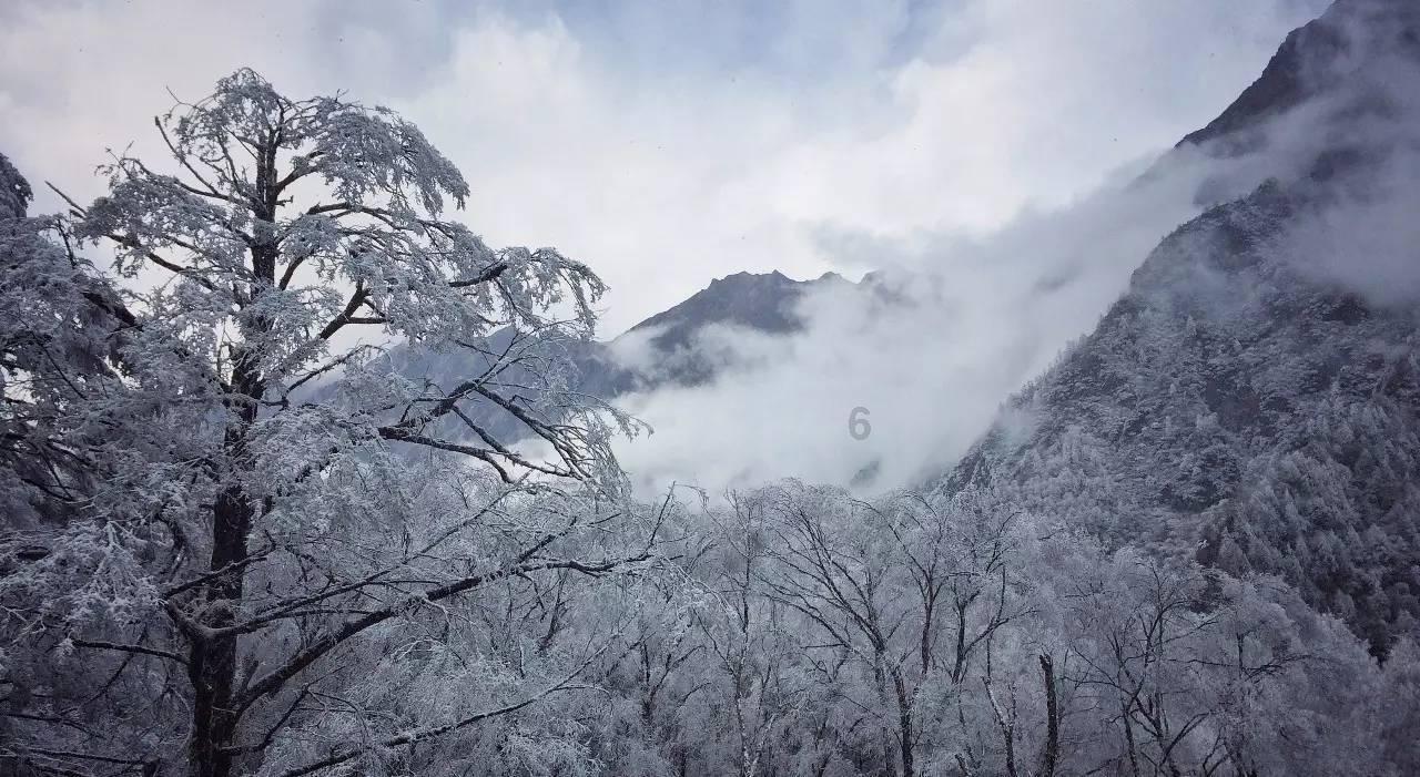 探探猫历险记2